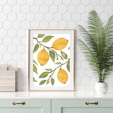 Lemon Trio Citrus Tree with Branches- Giclee Print- Kitchen Art