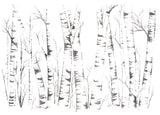 Silver Birch Silhouette Trees Forest Giclée Art Print