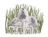 Mushroom Trio, Gray and Purple in tall grass- Art Print