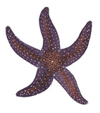 Sealife Series-Fresh Sea Star Starfish- Purple and Orange Art Print
