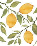 Lemon Trio Citrus Tree with Branches- Giclee Print- Kitchen Art
