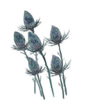 Blue Supernova Thistle- Art Print
