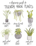 Trendy House Plants-Beginners Guide Art Print