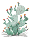Cacti in Bloom- Southwest Colors-Art Print