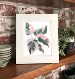 Philodendron Pink Princess Plant W/ Pink & Green Variegated Leaves -Giclee Art Print- Botanical Collection