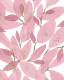 Aglaonema- Lady Valentine Plant W/ Pink & Green Variegated Leaves - Giclee Art Print- Botanical Collection