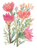 Proteas or Sugarbush- Vibrant Pink Art Giclee Print