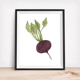 Beet Art Print - Giclee Kitchen Wall Art -Radish