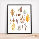Fall Leaves and Seedpods, Autumn Colors - Art Print