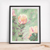 Blooming Prickly Pear Cactus- Arizona Fresh Focus Cacti Art Print