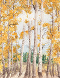 Hope Valley Quaking Aspens Trees, Golden Fall Colors CA California Landmark Art Print