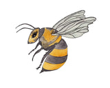 Honey Bee Insect Animal-Giclee Art Print #savethebees