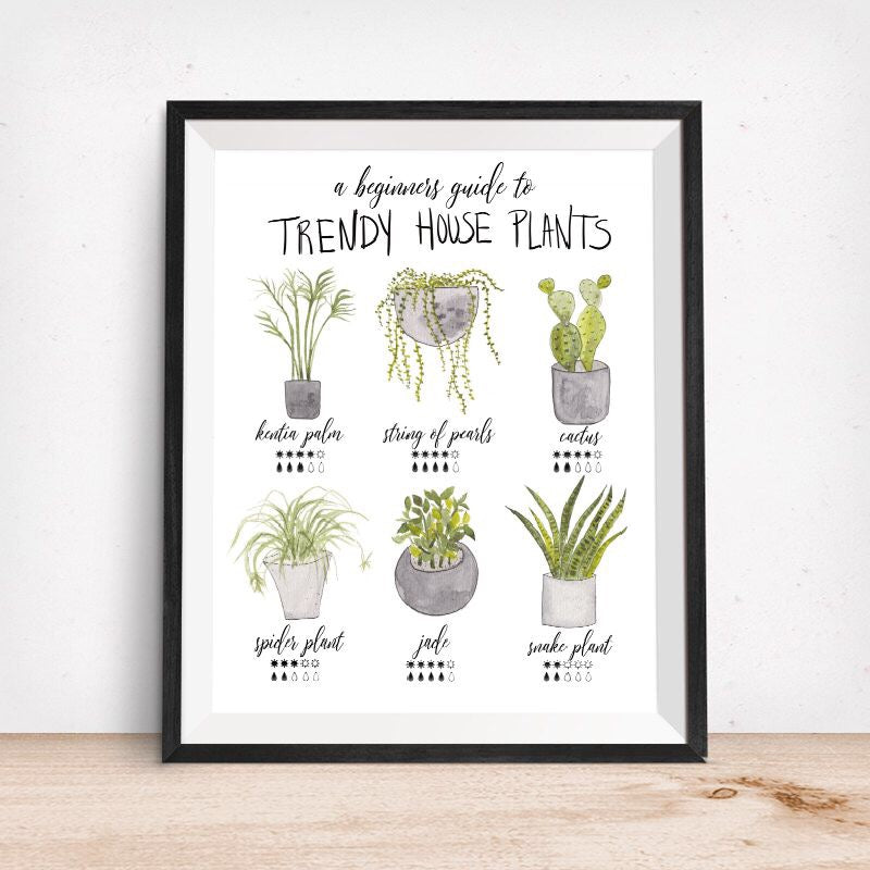 Trendy House Plants-Beginners Guide Art Print – Aqua Hue Designs by Tonja  Wilcox