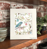 Winter Holiday Eastern Blue Bird with Ornaments and Greenery Flowers Giclee Art Print