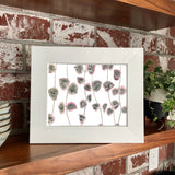 String of Hearts Ceropegia Woodii Plant W/ Pink & Green Variegated Leaves - Giclee Art Print- Botanical Collection