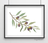 Olive Branch Purple- Giclee Art Print- Botanical Food Illustration