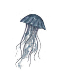 Sealife Series, Jellyfish- Art Print