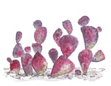 Prickly Pear Cacti, Rainbow Cactus Art Print