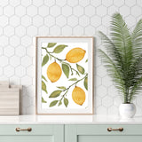 Lemon Trio Citrus Tree with Branches- Giclee Print- Kitchen Art