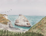 Shark Fin Cove, Santa Cruz, CA California Landmark Art Print