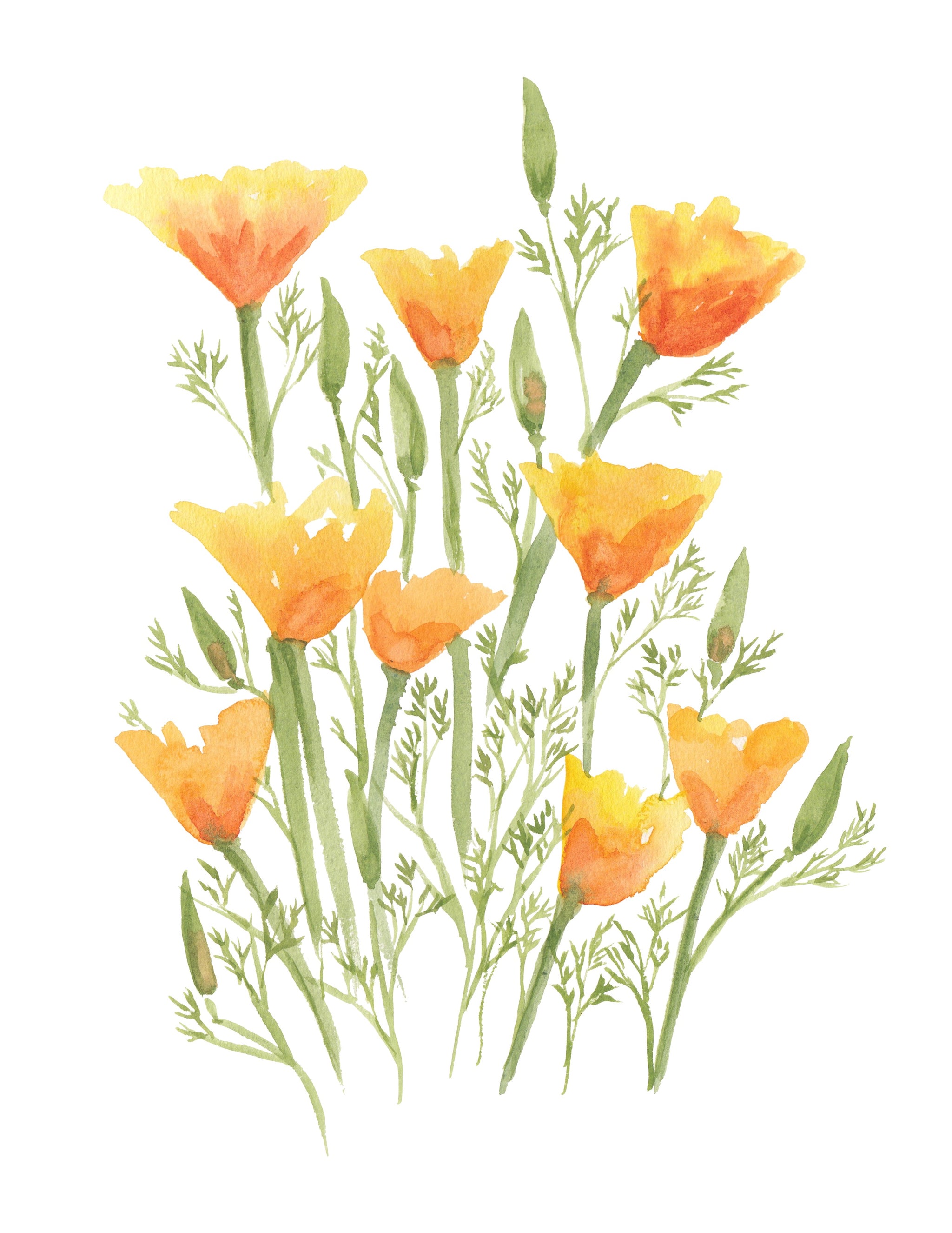 油絵アート（orange flower） il_340x270.828366965_1w2t.jpg