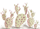 Extra Prickly Pear Cactus- Cacti Art Print