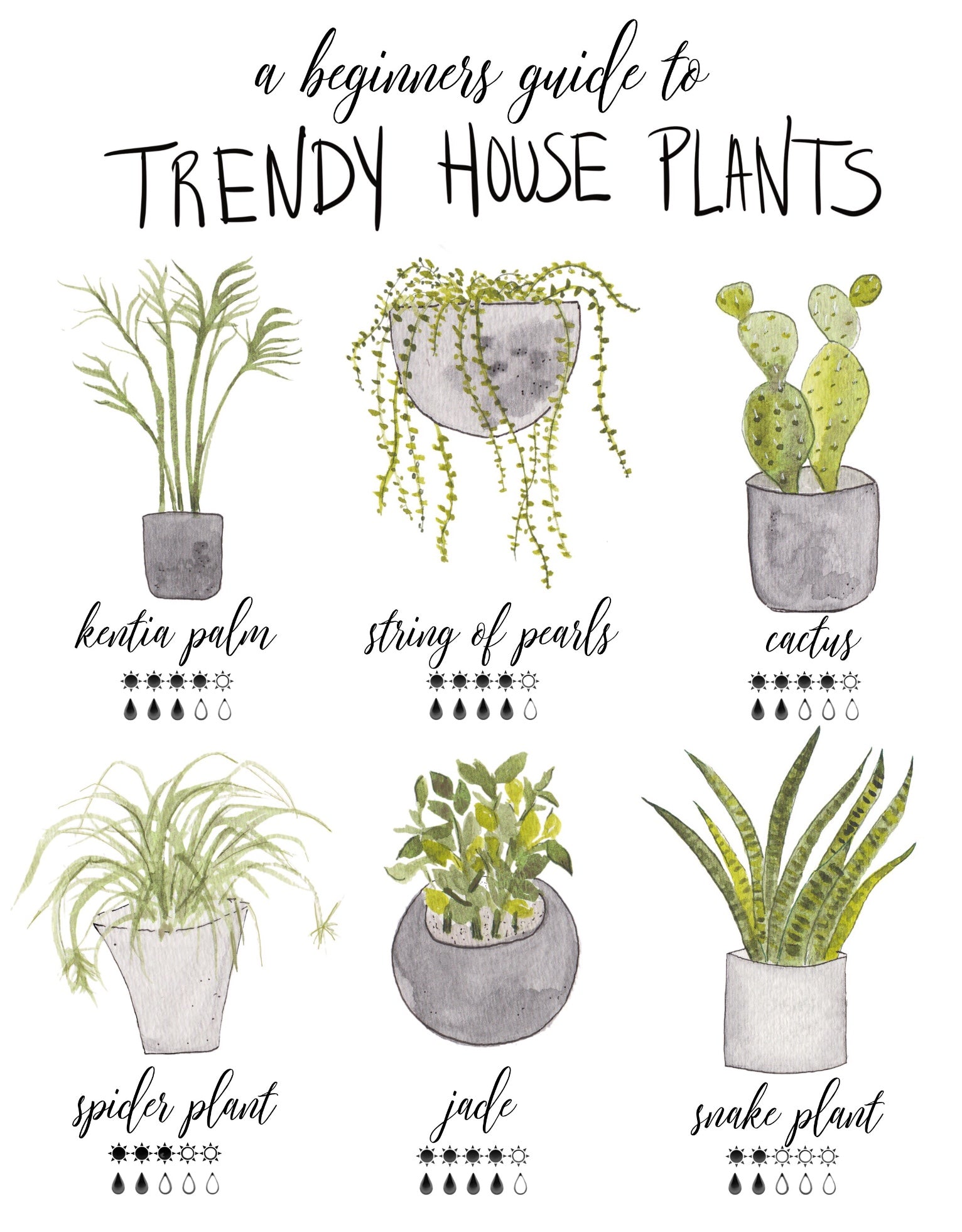 Trendy House Plants-Beginners Guide Art Print – Aqua Hue Designs by Tonja  Wilcox