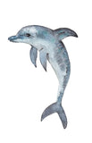 Sealife Series, Dolphin- Art Print