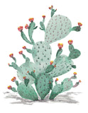 Cacti in Bloom- Southwest Colors-Art Print