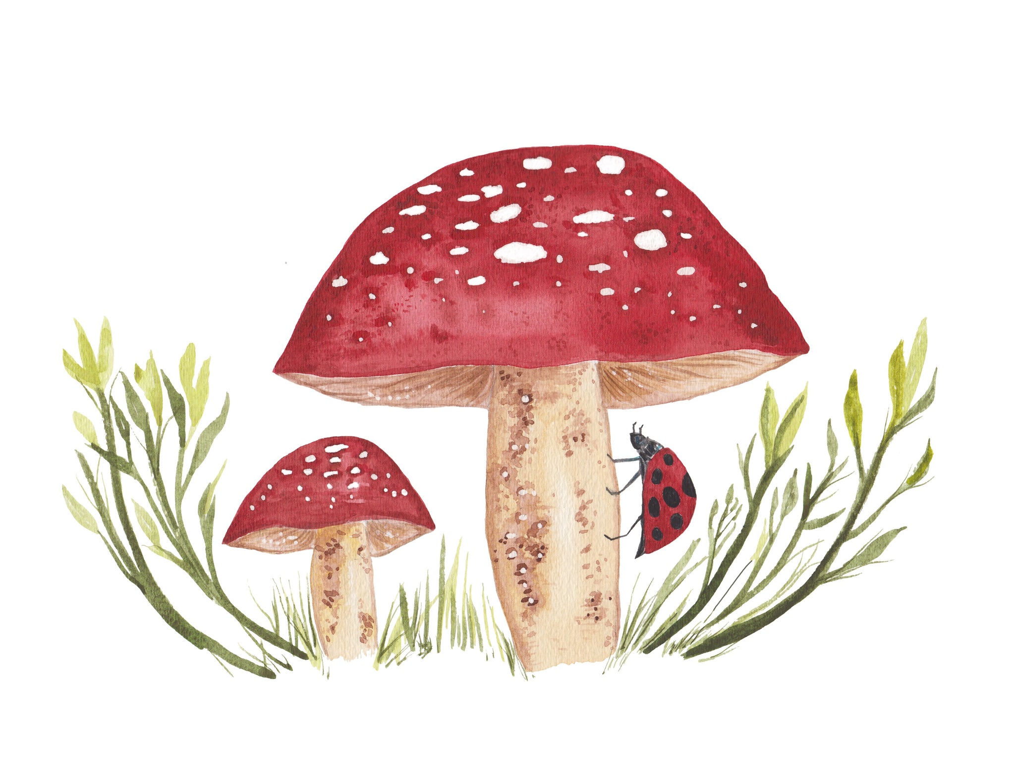 mushroom　0805 1000010489.png?crop=center&