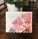3/29 Day 11 $11 Pink Magnolia Blossoms 8” x 10” Original Watercolor Painting