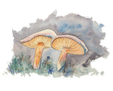 Twilight Mushrooms Giclee Art Print