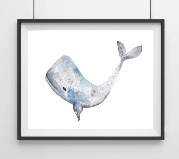 Sealife Series, Bottle Nose Whale- Art Print