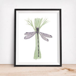 Purple Dragonfly-Giclee Art Print