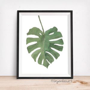 Monstera Deliciosa Plant Leaf- Giclee Art Print- Botanical