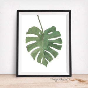 monstera deliciosa art Monstera Deliciosa Plant Leaf- Giclee Art Print- Botanical – Aqua Hue Designs by Tonja Wilcox
