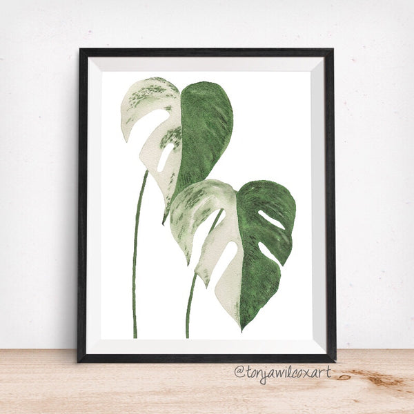 garmi monstera deliciosa print Monstera Variegata Plant Leaf- Giclee Art Print- Botanical – Aqua Hue Designs by Tonja Wilcox