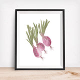 Turnips Vegetable Veggie - Giclee Art Print