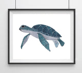 Sealife Series, Sea Turtle- Art Print