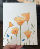 4/17 Day 30 Final Day $30 California Poppies Poppy Flowers Illustration 8.5 x 11” Original Watercolor Painting