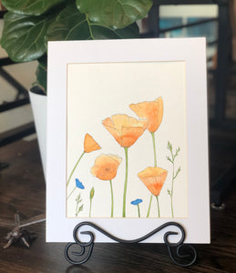 4/17 Day 30 Final Day $30 California Poppies Poppy Flowers Illustration 8.5 x 11” Original Watercolor Painting