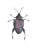 Metallic Beetle-Giclee Art Print