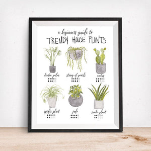 guide to indoor plants for beginners Trendy House Plants-Beginners Guide Art Print – Aqua Hue Designs by Tonja Wilcox