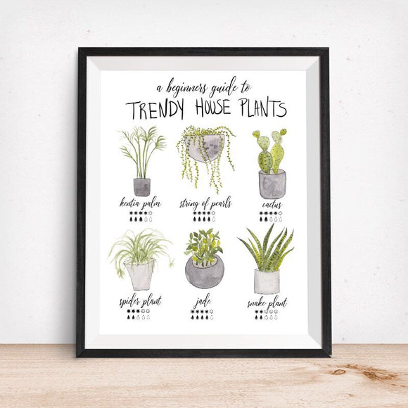 trendy house plants 2022 Trendy House Plants-Beginners Guide Art Print – Aqua Hue Designs by Tonja Wilcox