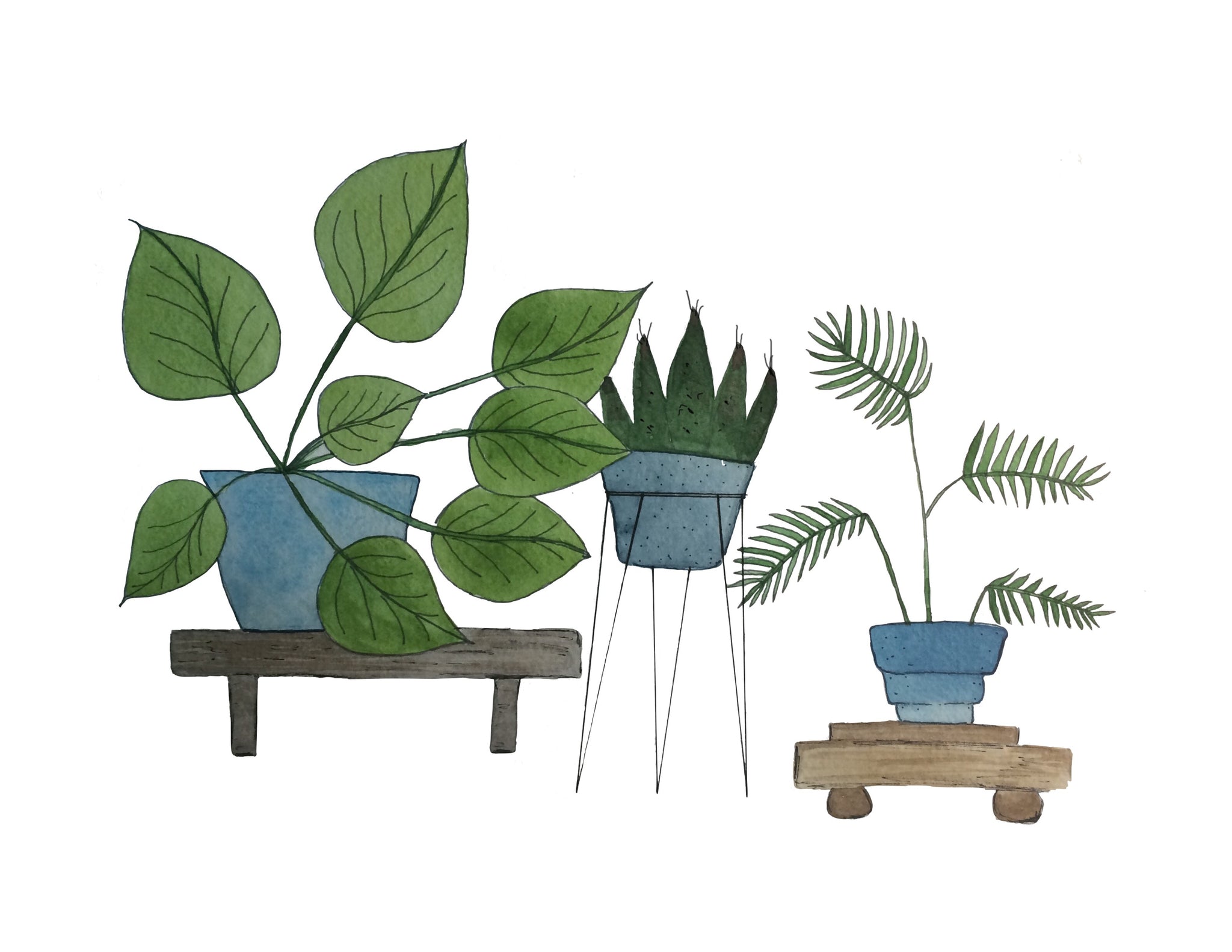 mid century indoor plants Mid-Century Modern House Plants Art Print MCM – Aqua Hue Designs by Tonja Wilcox