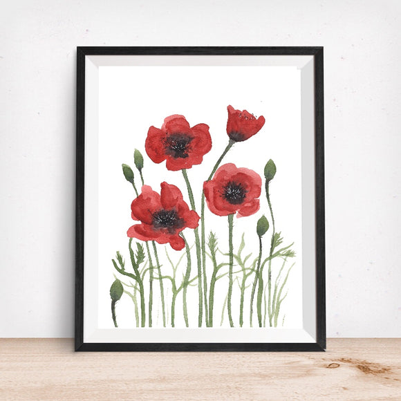 Red Poppy Art Print